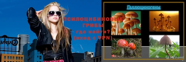 PSILOCYBIN Алзамай