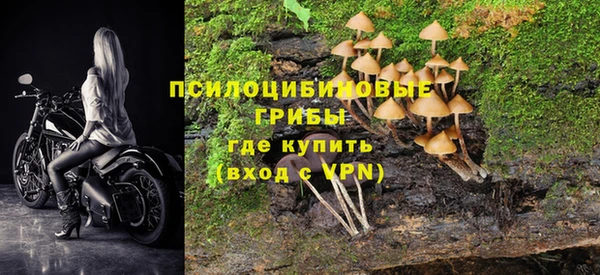 PSILOCYBIN Алзамай