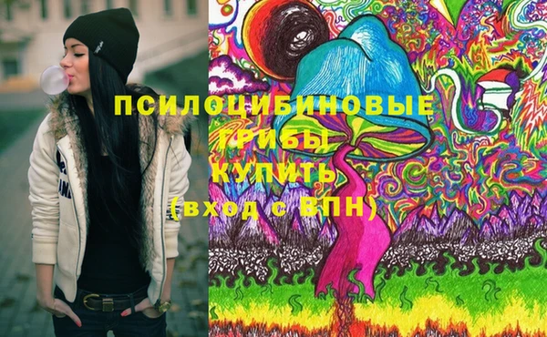 PSILOCYBIN Алзамай