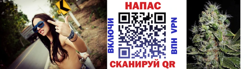 Конопля план  Заводоуковск 